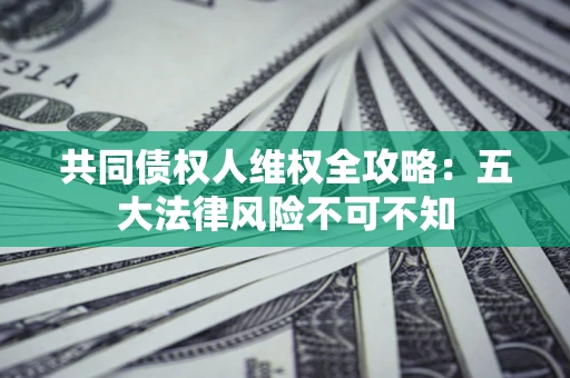 武汉共同债权人维权全攻略：五大法律风险不可不知
