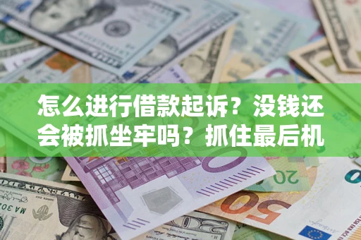 武汉怎么进行借款起诉？没钱还会被抓坐牢吗？抓住最后机会！
