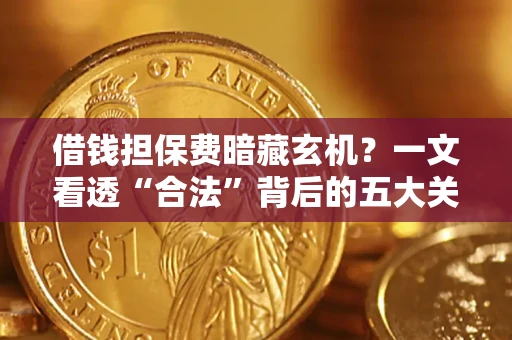 武汉借钱担保费暗藏玄机？一文看透“合法”背后的五大关键陷阱