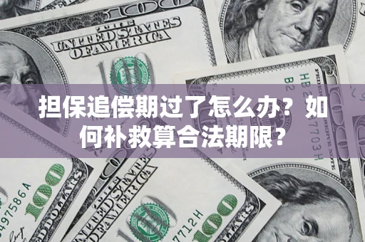 武汉担保追偿期过了怎么办？如何补救算合法期限？