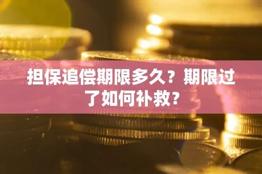武汉担保追偿期限多久？期限过了如何补救？