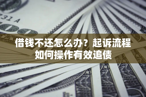 武汉借钱不还怎么办？起诉流程如何操作有效追债