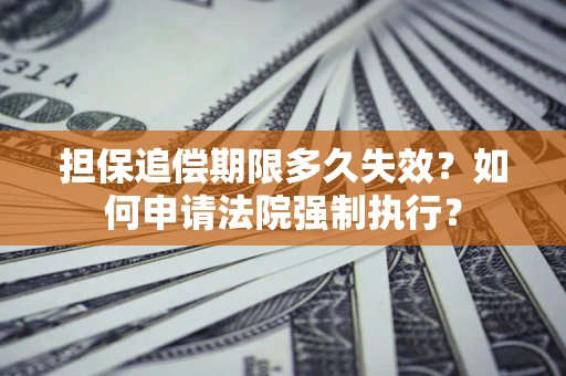 武汉担保追偿期限多久失效？如何申请法院强制执行？