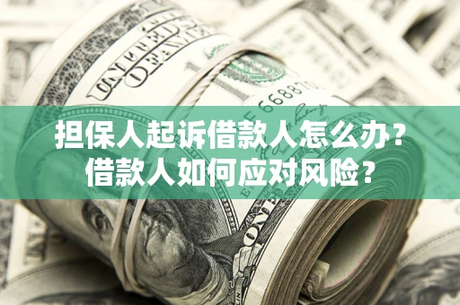 武汉担保人起诉借款人怎么办？借款人如何应对风险？