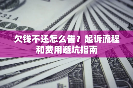 武汉欠钱不还怎么告？起诉流程和费用避坑指南