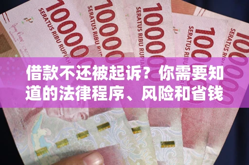 武汉借款不还被起诉？你需要知道的法律程序、风险和省钱技巧