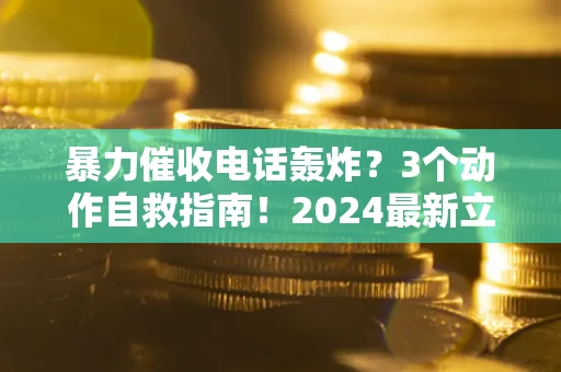 武汉暴力催收电话轰炸？3个动作自救指南！2024最新立案标准全解析