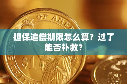武汉担保追偿期限怎么算？过了能否补救？